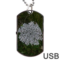 Queen Annes Lace Original Dog Tag Usb Flash (one Side) by okhismakingart