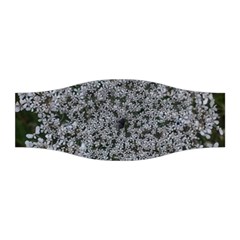 Queen Annes Lace Original Stretchable Headband by okhismakingart