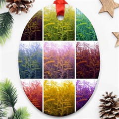 Goldenrod Collage Ornament (Oval)