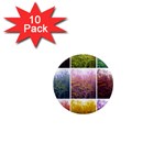 Goldenrod Collage 1  Mini Magnet (10 pack)  Front