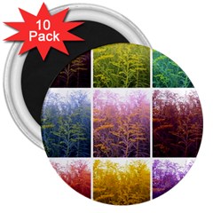 Goldenrod Collage 3  Magnets (10 Pack)  by okhismakingart