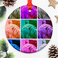 Color Block Queen Annes Lace Collage Ornament (round) by okhismakingart