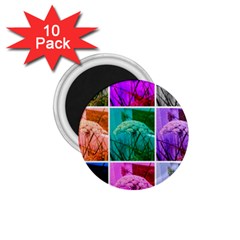 Color Block Queen Annes Lace Collage 1 75  Magnets (10 Pack)  by okhismakingart