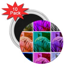 Color Block Queen Annes Lace Collage 2 25  Magnets (10 Pack)  by okhismakingart