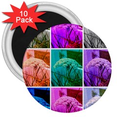 Color Block Queen Annes Lace Collage 3  Magnets (10 Pack)  by okhismakingart