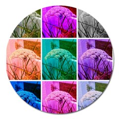 Color Block Queen Annes Lace Collage Magnet 5  (round) by okhismakingart