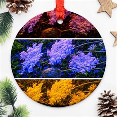 Primary Color Queen Anne s Lace Ornament (round) by okhismakingart