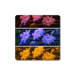 Primary Color Queen Anne s Lace Square Magnet by okhismakingart