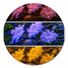 Primary Color Queen Anne s Lace Magnet 5  (round) by okhismakingart