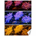 Primary Color Queen Anne s Lace Canvas 12  x 16  11.86 x15.41  Canvas - 1