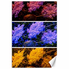 Primary Color Queen Anne s Lace Canvas 20  X 30  by okhismakingart