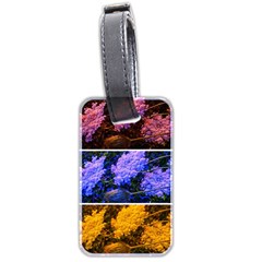 Primary Color Queen Anne s Lace Luggage Tags (two Sides) by okhismakingart