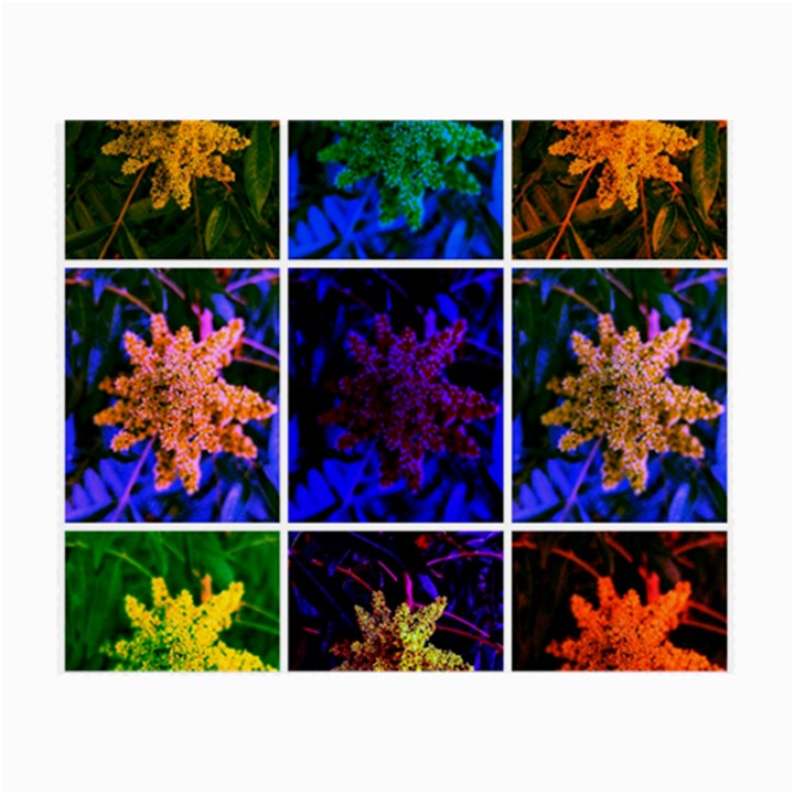 Sumac Collage Small Glasses Cloth