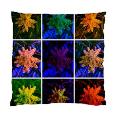 Sumac Collage Standard Cushion Case (one Side) by okhismakingart