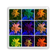 Sumac Collage Memory Card Reader (square) by okhismakingart