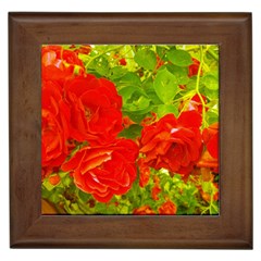 Red Roses Framed Tiles