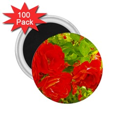 Red Roses 2.25  Magnets (100 pack) 