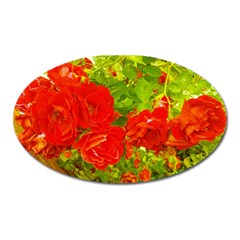 Red Roses Oval Magnet