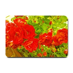 Red Roses Small Doormat 