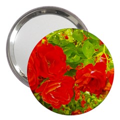 Red Roses 3  Handbag Mirrors by okhismakingart