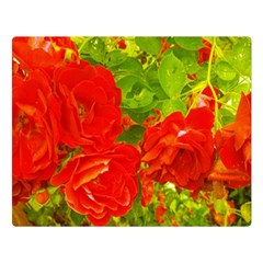 Red Roses Double Sided Flano Blanket (Large) 