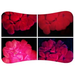 Geranium Collage Velour Seat Head Rest Cushion