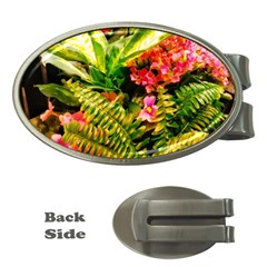 Fern Jungle Money Clips (oval)  by okhismakingart