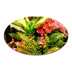 Fern Jungle Oval Magnet by okhismakingart