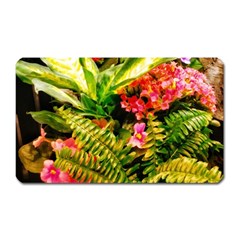 Fern Jungle Magnet (rectangular) by okhismakingart