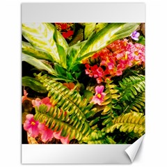 Fern Jungle Canvas 18  X 24  by okhismakingart