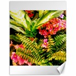 Fern Jungle Canvas 18  x 24  17.8 x23.08  Canvas - 1