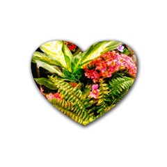 Fern Jungle Heart Coaster (4 Pack)  by okhismakingart