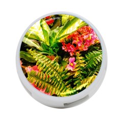 Fern Jungle 4-port Usb Hub (two Sides) by okhismakingart