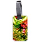 Fern Jungle Luggage Tags (Two Sides) Back