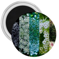 Queen Annes Lace Vertical Slice Collage 3  Magnets by okhismakingart