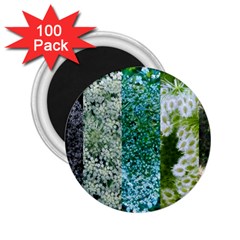 Queen Annes Lace Vertical Slice Collage 2 25  Magnets (100 Pack)  by okhismakingart