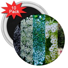 Queen Annes Lace Vertical Slice Collage 3  Magnets (10 Pack)  by okhismakingart