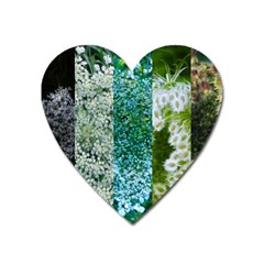 Queen Annes Lace Vertical Slice Collage Heart Magnet by okhismakingart