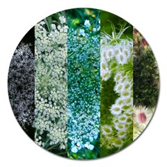 Queen Annes Lace Vertical Slice Collage Magnet 5  (round) by okhismakingart