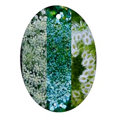 Queen Annes Lace Vertical Slice Collage Oval Ornament (two Sides) by okhismakingart