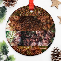 Queen Annes Lace Horizontal Slice Collage Ornament (round) by okhismakingart