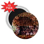 Queen Annes Lace Horizontal Slice Collage 2.25  Magnets (10 pack)  Front