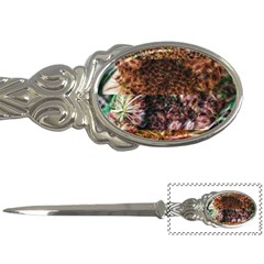 Queen Annes Lace Horizontal Slice Collage Letter Opener by okhismakingart