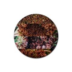 Queen Annes Lace Horizontal Slice Collage Rubber Coaster (round)  by okhismakingart