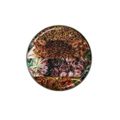 Queen Annes Lace Horizontal Slice Collage Hat Clip Ball Marker (4 Pack) by okhismakingart