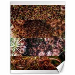 Queen Annes Lace Horizontal Slice Collage Canvas 36  X 48  by okhismakingart