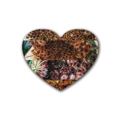 Queen Annes Lace Horizontal Slice Collage Heart Coaster (4 Pack)  by okhismakingart