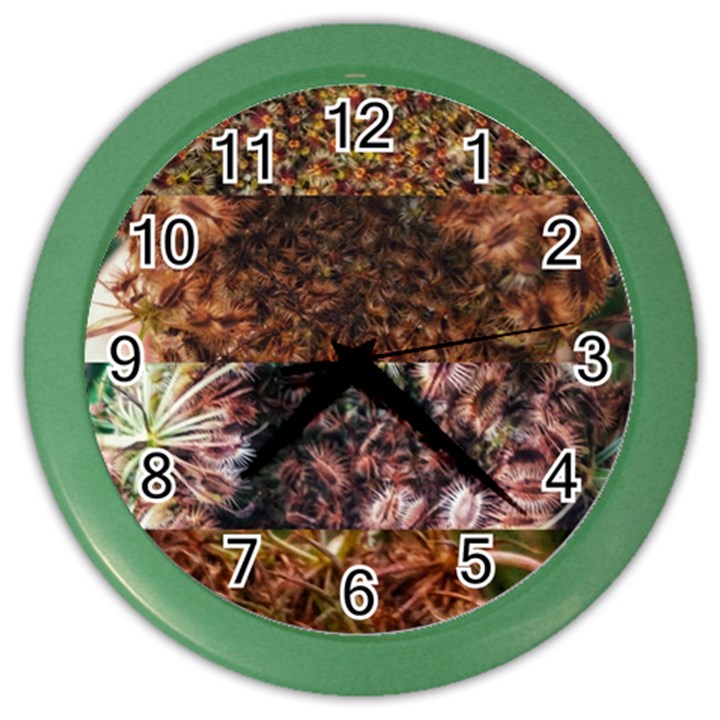 Queen Annes Lace Horizontal Slice Collage Color Wall Clock