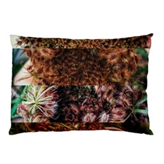 Queen Annes Lace Horizontal Slice Collage Pillow Case by okhismakingart