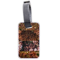 Queen Annes Lace Horizontal Slice Collage Luggage Tags (two Sides) by okhismakingart